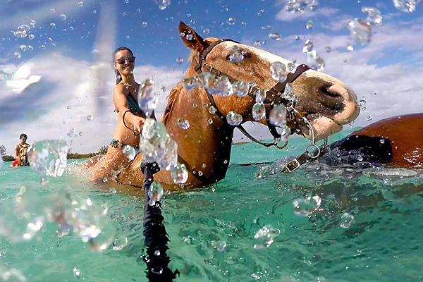 horseback riding and swimming in Grand Cayman