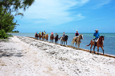 Beach Horseback Riding in Grand cayman