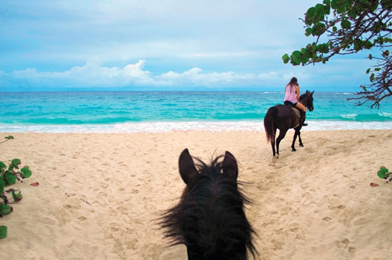 Beach trek horseback riding Grand Cayman