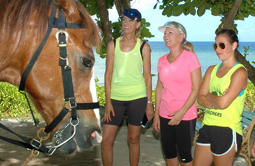 Meeting the horses before the ride at Pampered Ponies