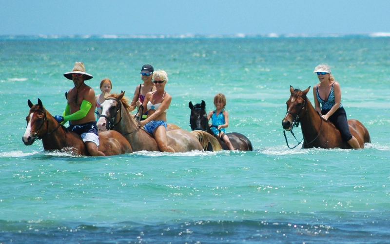 Bareback horseback swimming Grand Cayman