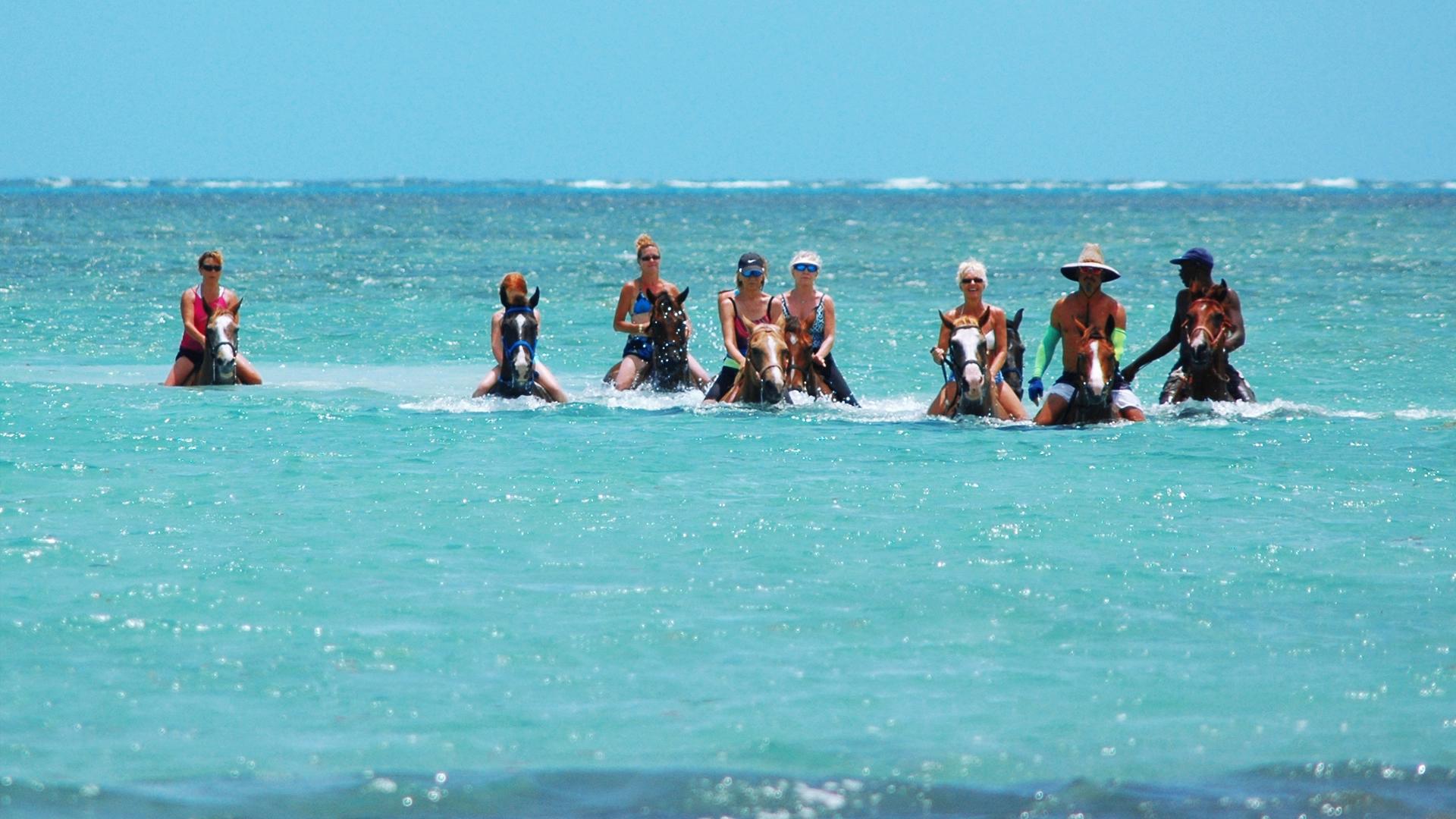 Horse swimming in the Caribbean Sea by a white sand beach